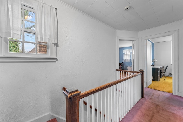 50 Oakland Ave, Tuckahoe, NY 10707 - hall featuring carpet flooring, crown molding, a wealth of natural light, and an upstairs landing