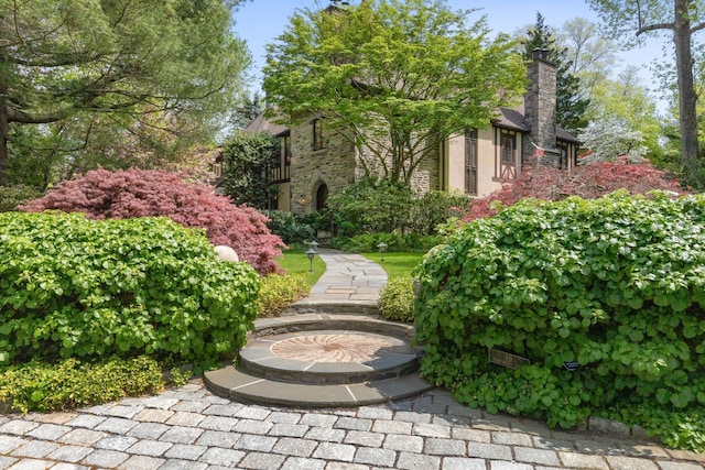 50 Hampshire Rd, Bronxville, NY 10708 - view of yard