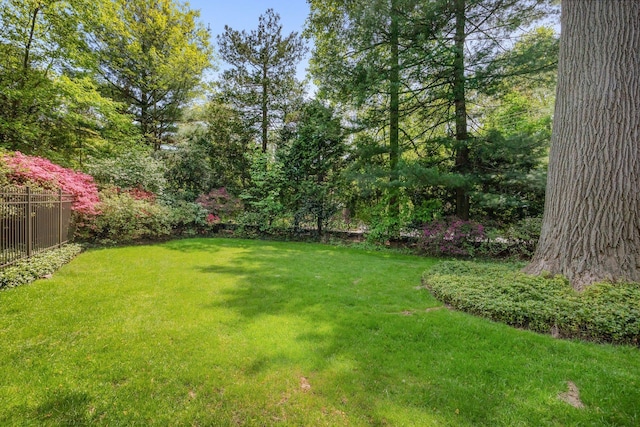 50 Hampshire Rd, Bronxville, NY 10708 - view of yard