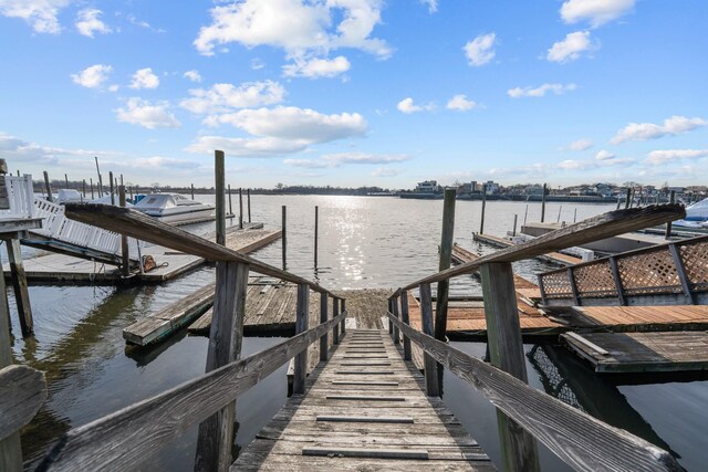 299 Whitman Dr, Brooklyn, NY 11234 - photo 27