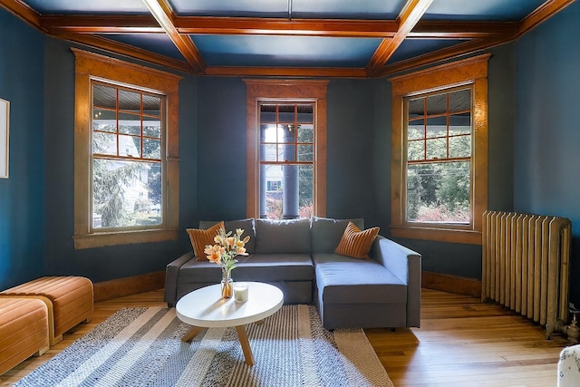 12 Highview Ave, Callicoon, NY 12723 - living area with radiator, coffered ceiling, plenty of natural light, hardwood / wood-style flooring, and beam ceiling