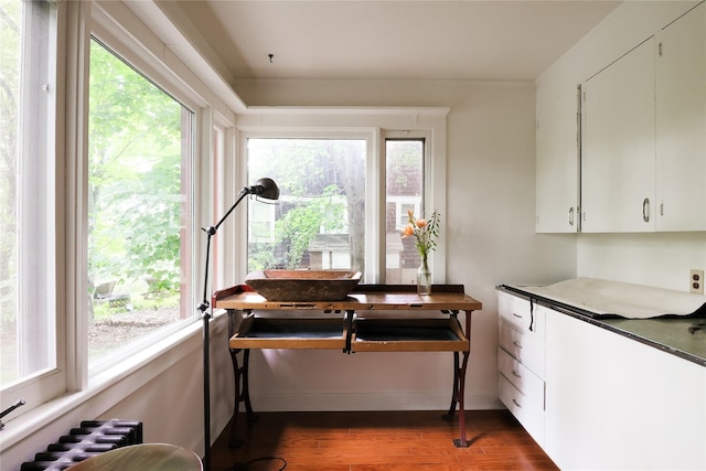 12 Highview Ave, Callicoon, NY 12723 - dining space with radiator heating unit and dark wood-type flooring