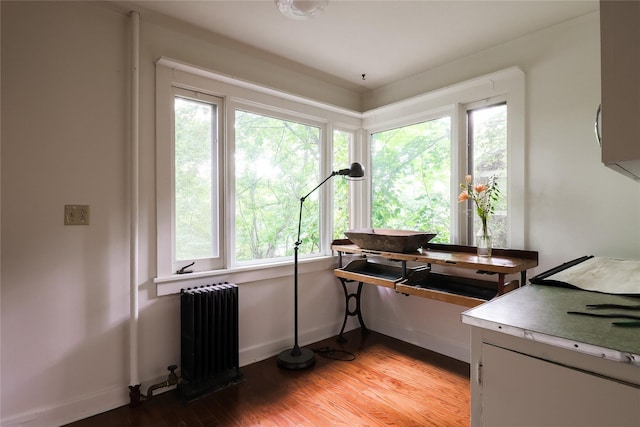 12 Highview Ave, Callicoon, NY 12723 - kitchen with radiator heating unit, plenty of natural light, and light wood finished floors