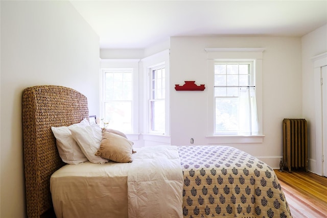 12 Highview Ave, Callicoon, NY 12723 - bedroom with radiator heating unit, multiple windows, and wood finished floors