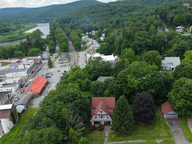 12 Highview Ave, Callicoon, NY 12723 - drone / aerial view of a forest and a water and mountain view