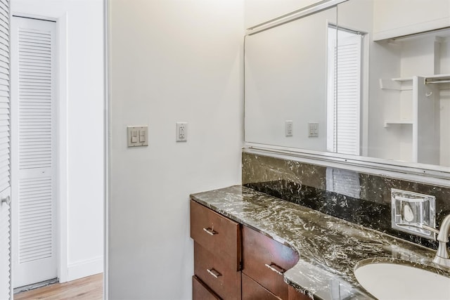 523 Colony Dr, Hartsdale, NY 10530 - bathroom with a closet, vanity, decorative backsplash, and wood finished floors
