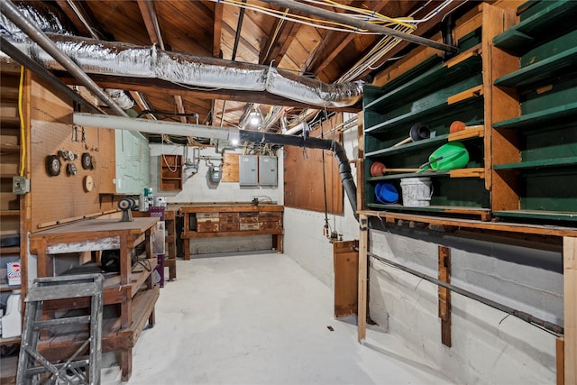 unfinished below grade area with a workshop area and electric panel