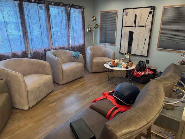 living area featuring wood-type flooring and plenty of natural light