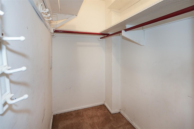 spacious closet featuring carpet floors
