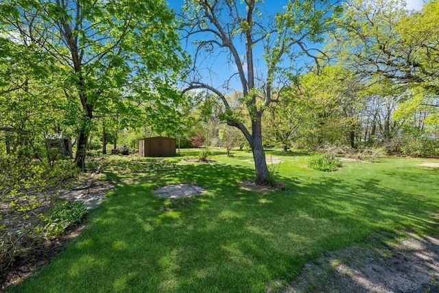 view of yard with a storage shed and an outbuilding