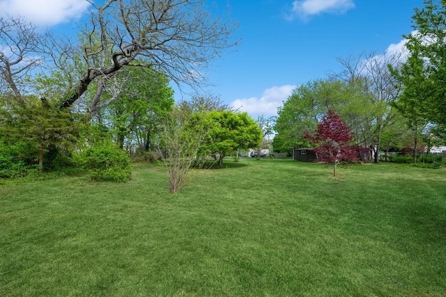 view of yard