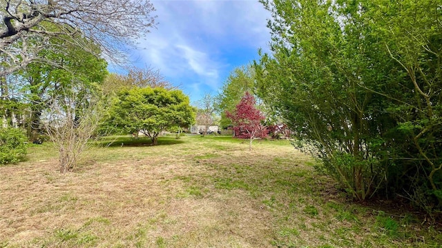 view of yard