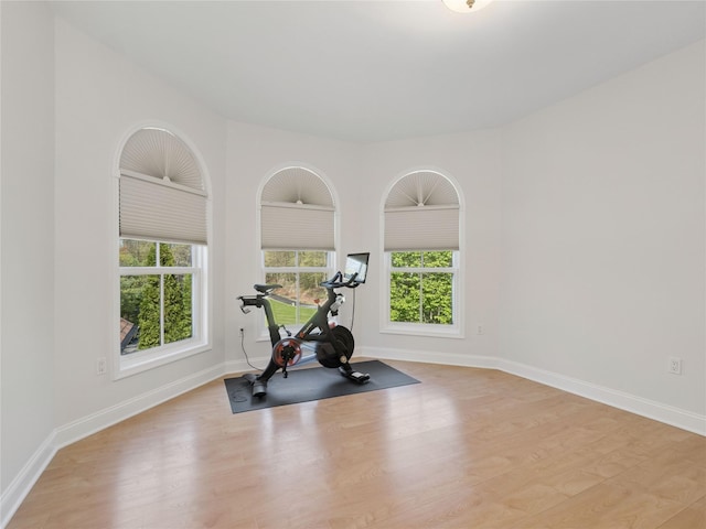 exercise area featuring baseboards and wood finished floors