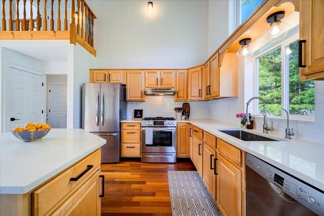 kitchen with a sink, dark wood finished floors, stainless steel appliances, a towering ceiling, and under cabinet range hood