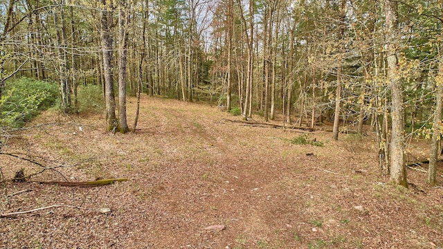 view of local wilderness featuring a view of trees