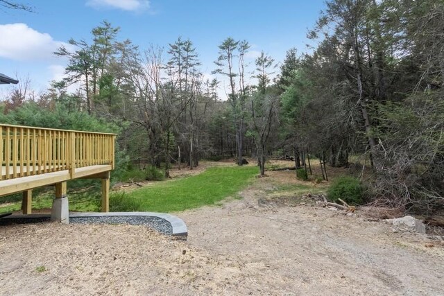 435 State Route 55, Eldred, NY 12732 - view of yard with a deck