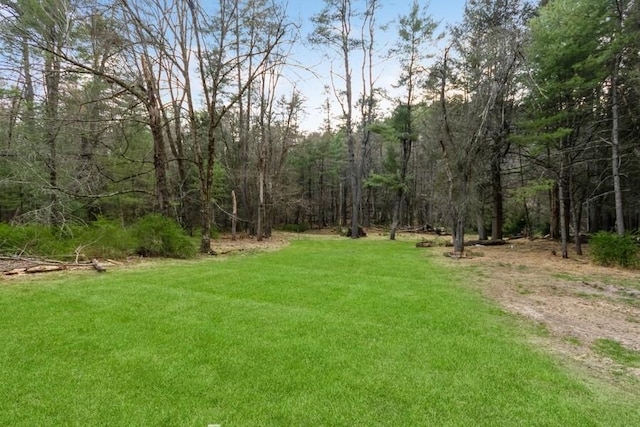435 State Route 55, Eldred, NY 12732 - view of yard