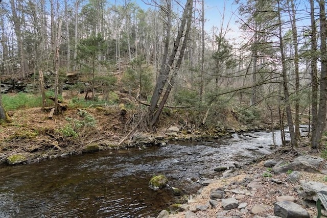 435 State Route 55, Eldred, NY 12732 - view of local wilderness