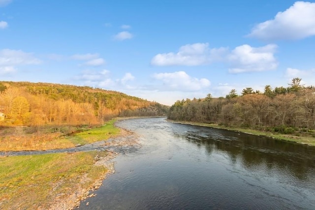 435 State Route 55, Eldred, NY 12732 - property view of water featuring a view of trees