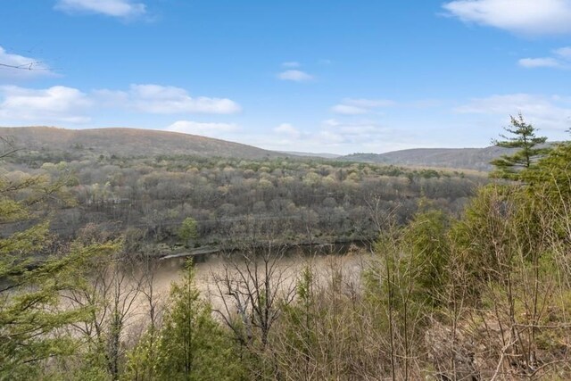 435 State Route 55, Eldred, NY 12732 - mountain view featuring a forest view