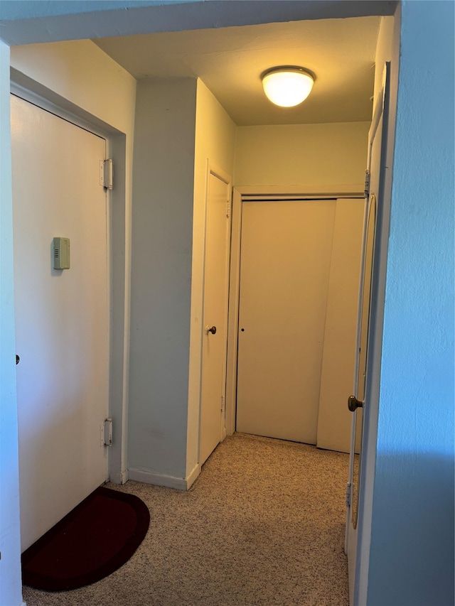 91 Tulip Ave Unit C2, Floral Park, NY 11001 - hallway featuring light colored carpet