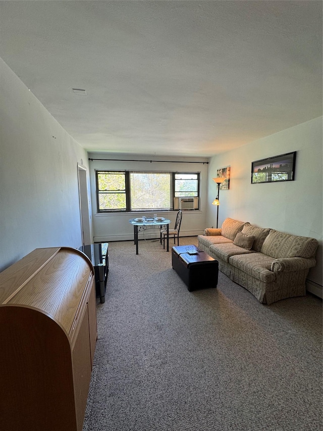 91 Tulip Ave Unit C2, Floral Park, NY 11001 - carpeted living area with cooling unit
