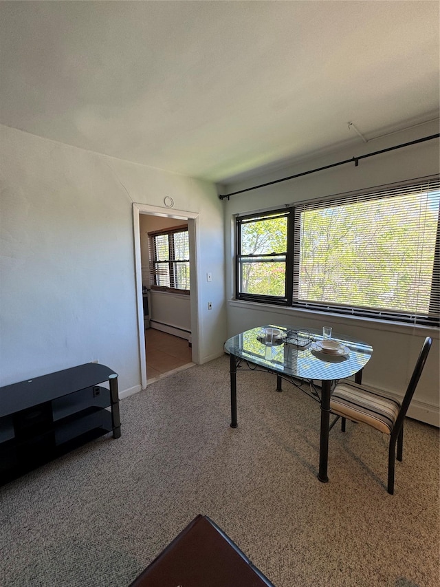91 Tulip Ave Unit C2, Floral Park, NY 11001 - carpeted dining area featuring baseboards and a baseboard radiator