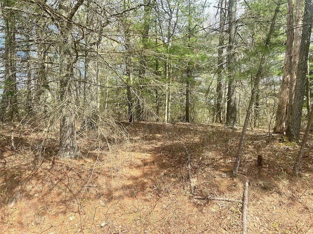 Willow Ln, Glen Spey NY, 12737 land for sale