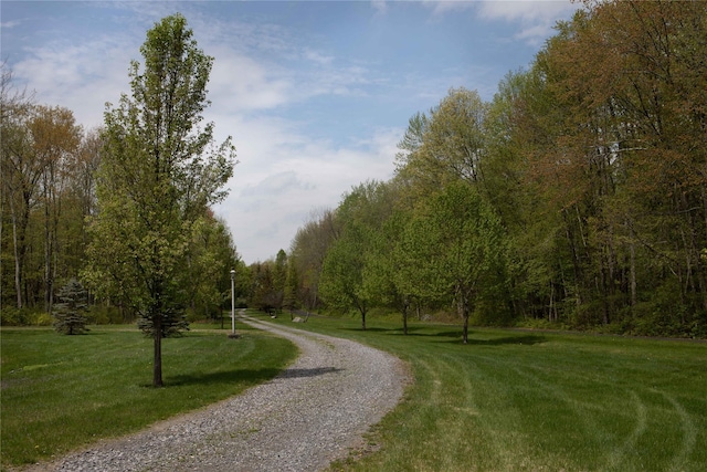 216 Barmore Rd, Lagrangeville, NY 12540 - photo 40