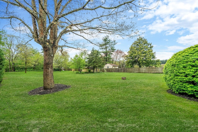 40 Cedarhurst St, Islip Terrace, NY 11752 - view of yard