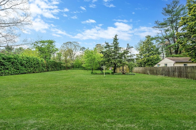 40 Cedarhurst St, Islip Terrace, NY 11752 - view of yard featuring a storage unit and an outbuilding
