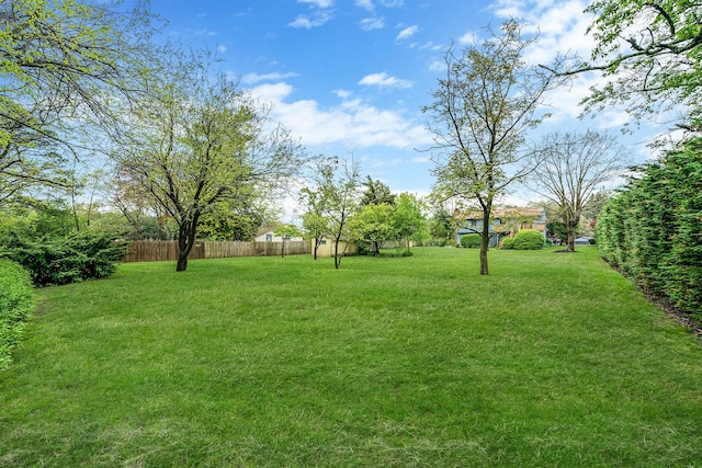 40 Cedarhurst St, Islip Terrace, NY 11752 - view of yard