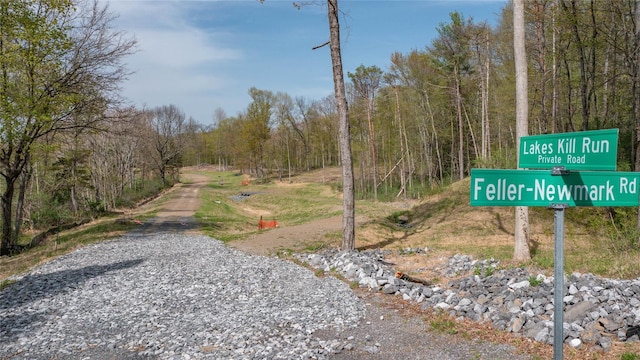 Feller Newmark Rd, Red Hook, NY 12571 - photo 3