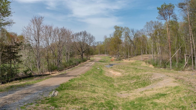 Feller Newmark Rd, Red Hook, NY 12571 - photo 4