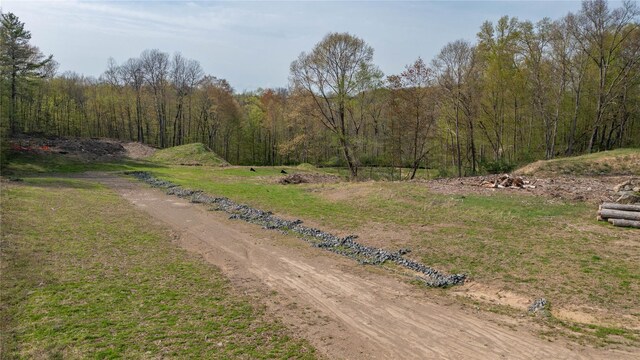 Feller Newmark Rd, Red Hook, NY 12571 - photo 12