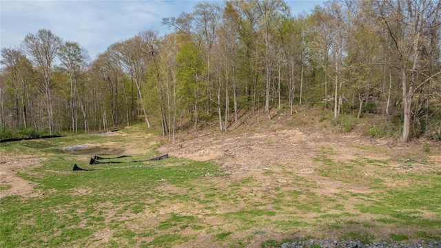 Feller Newmark Rd, Red Hook, NY 12571 - photo 15