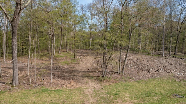 Feller Newmark Rd, Red Hook, NY 12571 - photo 20