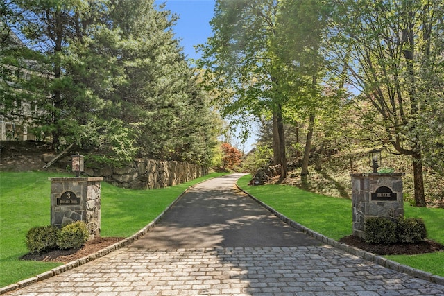 view of street with curbs