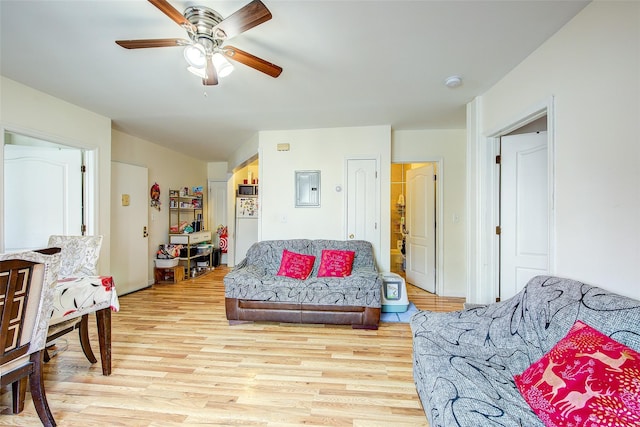 living room with ceiling fan, electric panel, and light wood finished floors