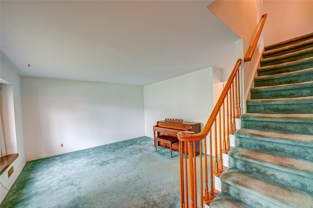 48 Crocus Ln, Commack, NY 11725 - stairway with carpet floors