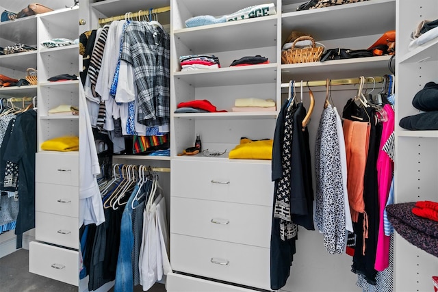 view of spacious closet