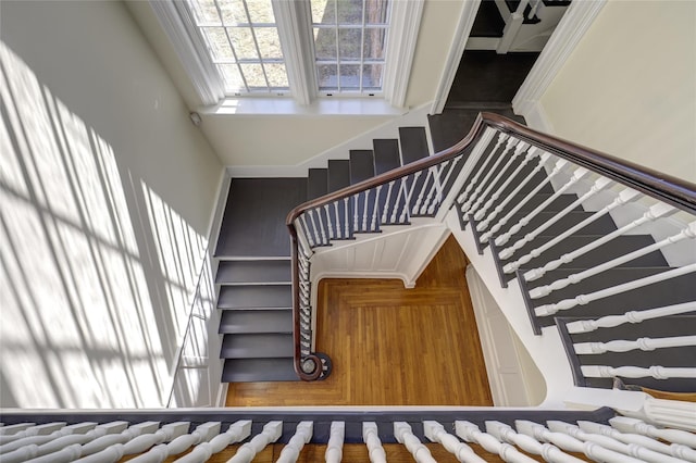 stairs with a towering ceiling