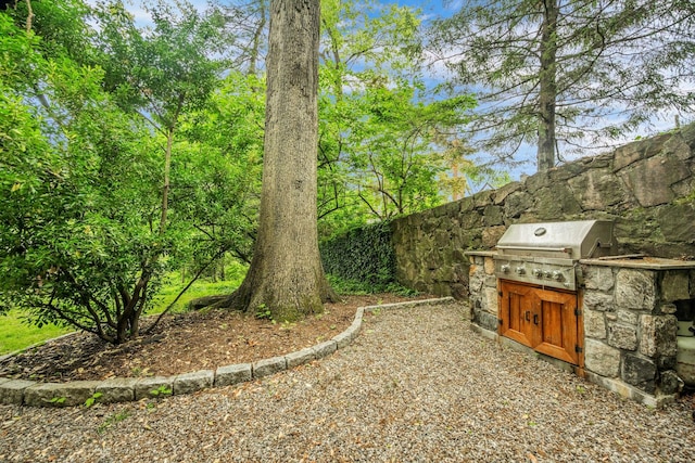 38A Claremont Rd, Scarsdale, NY 10583 - view of yard with exterior kitchen