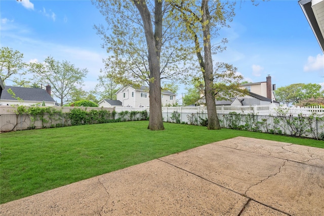 view of yard featuring a fenced backyard and a patio