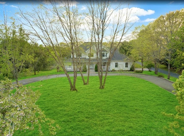 cape cod-style house featuring curved driveway and a front lawn