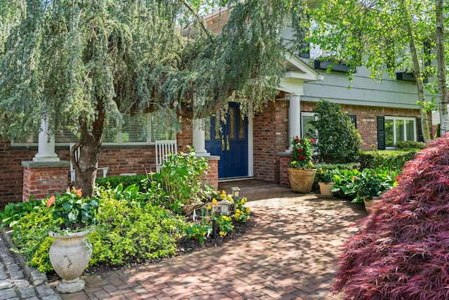 entrance to property featuring brick siding