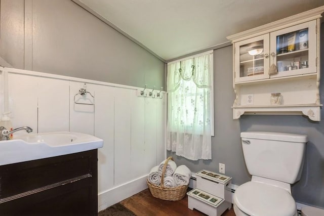 half bath featuring vanity, wood finished floors, vaulted ceiling, and toilet