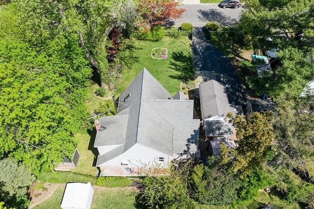 aerial view