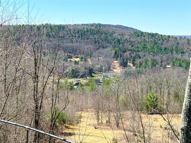 view of mountain feature featuring a wooded view