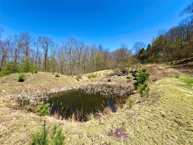 view of landscape featuring a water view and a forest view